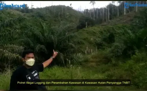 A person wears a black shirt and uses a hand gesture pointing to tropical rainforest trees in Indonesia.