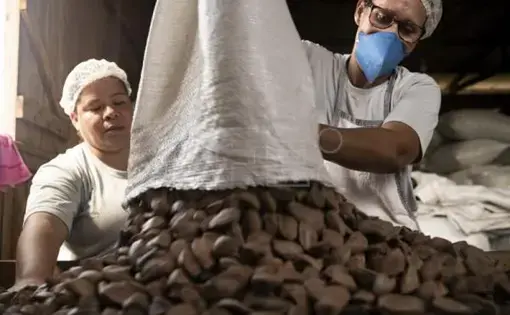 Nut gatherers