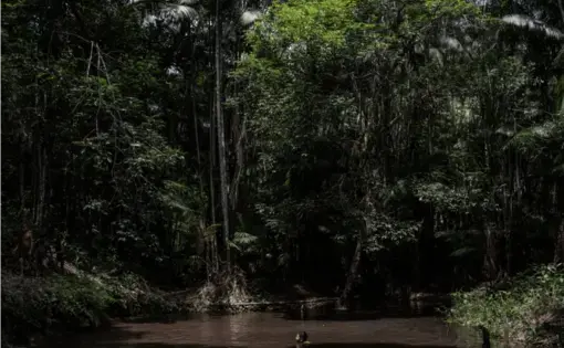 Photo of young boy swimming