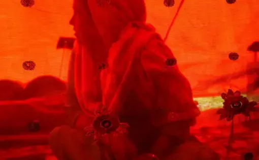 a woman sits behind a transparent red cloth