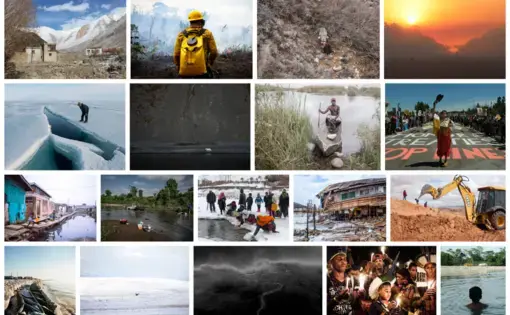 A graphic showing many photos