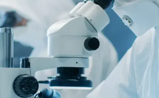 Researchers wearing PPE look into microscopes