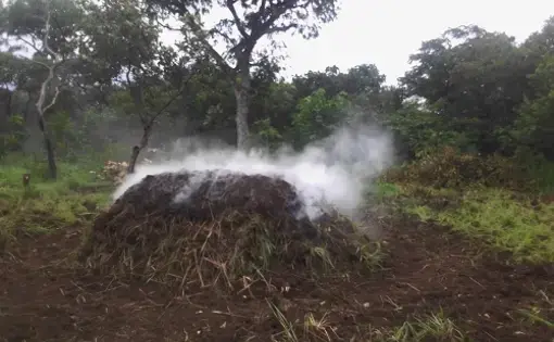A mound of burning charcoal sends hazy smoke wafting through the forest reserve of Mount Kei in Uganda.