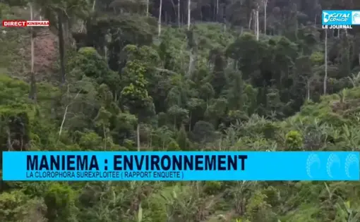 An aerial overview of a forest in DR Congo.