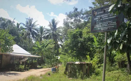 A house surrounded by trees and palm oil trees.