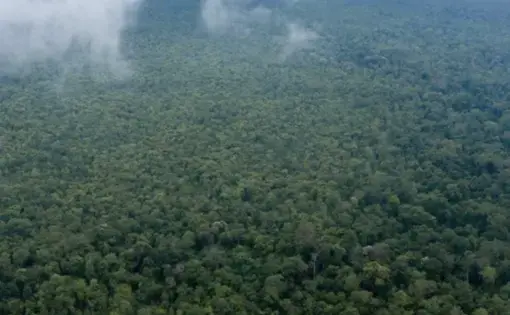 An aerial overview of Prey Lang Wildlife Sanctuary in Cambodia.