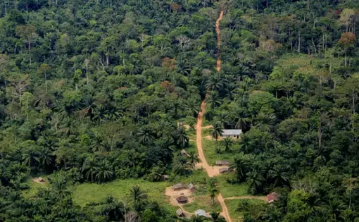 An aerial overview of a forest in DR Congo.