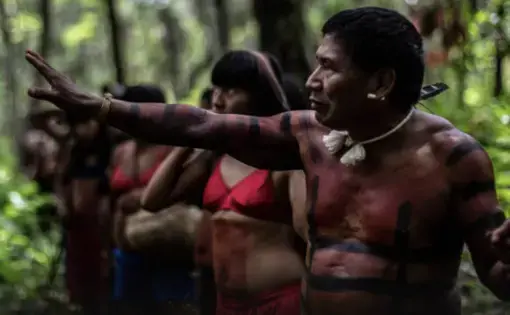 An Indigenous man points to a plant as he hikes with other group members in Mato Grosso, Brazil.