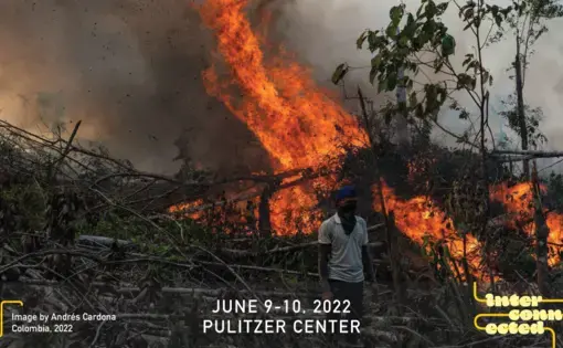 Colombian forest is burned while a farmer stands by. Image by Andrés Cardona. Colombia, 2022.