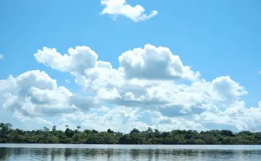 Javari valley