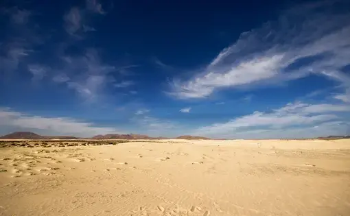 Thar Desert