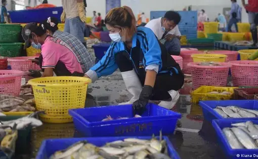 A woman sorts fish in bright plastic baskets.