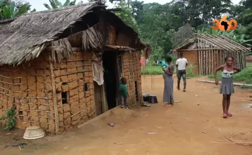 Cameroun : menace de mort sur le «Dieu des Pygmées» à cause de la déforestation