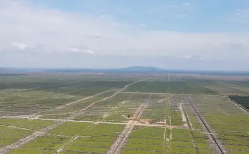 An aerial shot of a sickly-green, flat expanse with snaking dirt roads. A blue mountain is on the horizon.