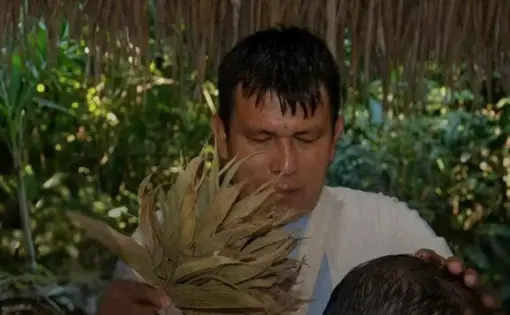 A man with a bundle of leaves in one hand and his other on a patient's head.