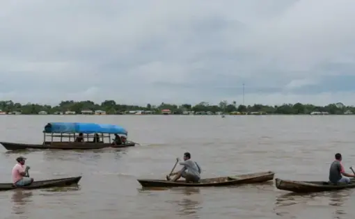 Canoes row across quiet, turbid waters.