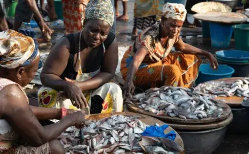 Fishmongers at Elmina landing beach