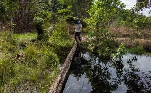 A man carries some pieces of wood as he crosses water