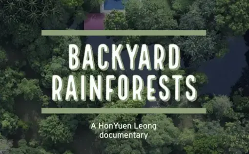 backyard rainforests