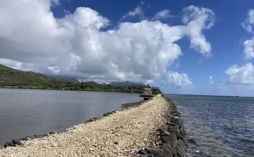 The kuapā