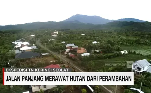 Screenshot from video "The Long Way to Protect Forests from Encroachment"