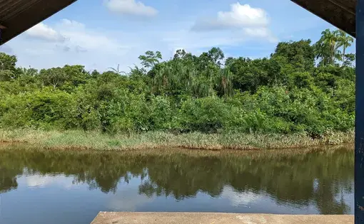Water, trees, sky