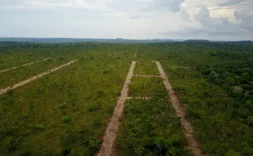 a lot of land