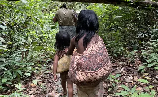 people walking through a forest