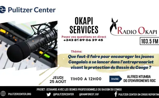 Promotional poster for "Que faut-il faire pour encourager les jeunes Congolais à se lancer dans l'entrepreneuriat visant la protection du Bassin du Congo?"