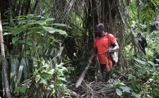 a man In the forest