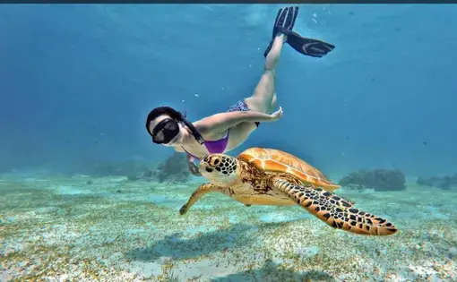 A swimmer underwater
