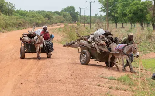Women transport goods on donkeys in the Upper East region of Ghana