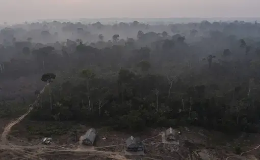 an indigenous land