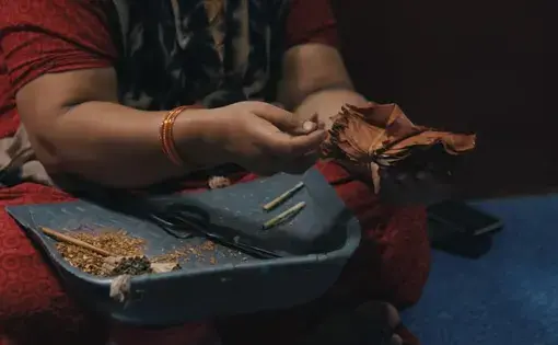 beedi worker rolling beedis