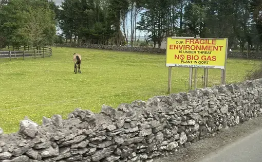 protest sign
