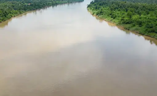 An aerial image of a wide, brown river lined on either side by verdant forest.