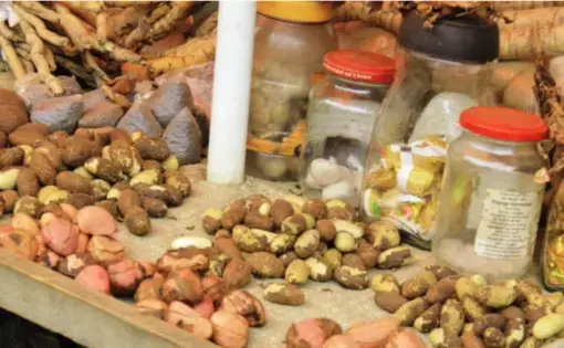 Congo medicinal plants