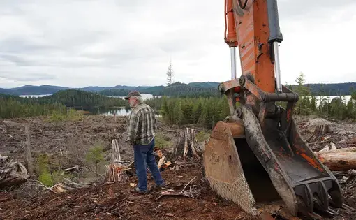 A man walks next to the arm of heavy machinery. He stands in a deforested area.