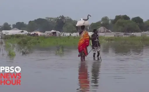 two farmers carry bags of fertilizer across a flooded field