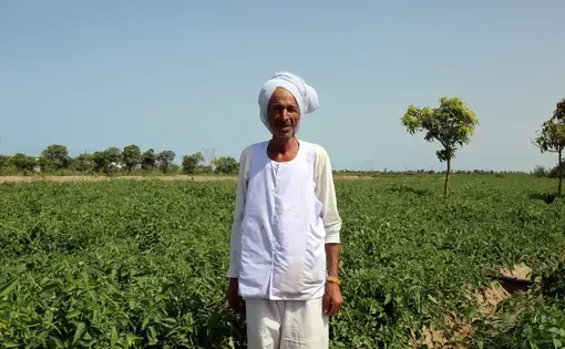 A man standing in a field