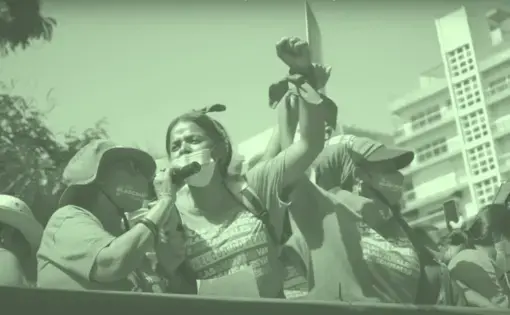 Women and birth-givers protest