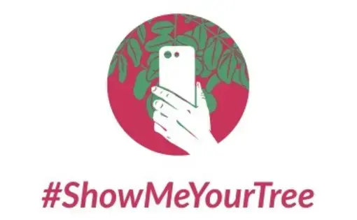 #ShowMeYourTree