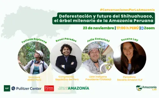 Deforestación y futuro del Shihuahuaco, el árbol milenario de la Amazonía Peruana