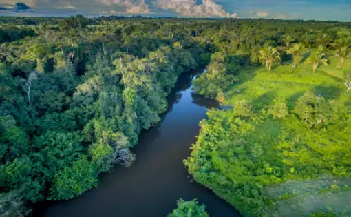 Ka’apor, Povo da Floresta