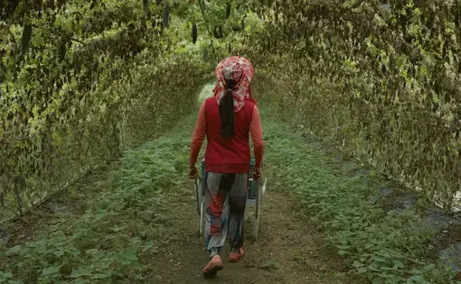 "The Life of Filipina-Korean Marriage Migrants" video