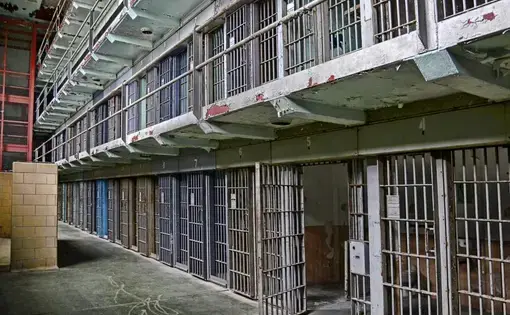Cell blocks