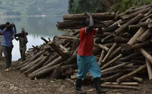a man carries wood