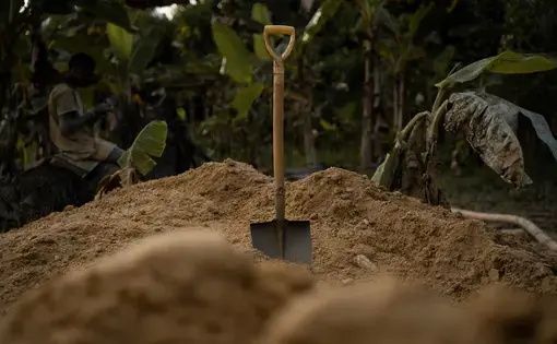 shovel in dirt