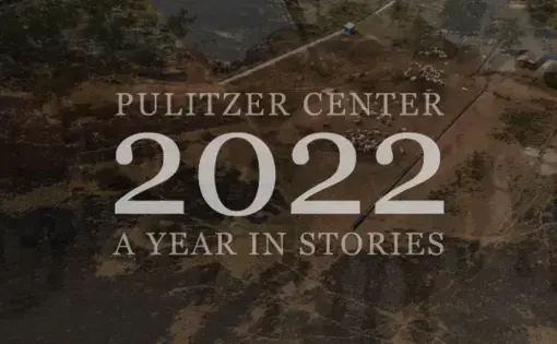 Year in Stories