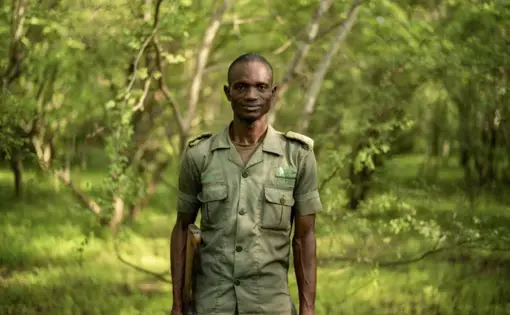 a man looks at the camera with a forest in the background